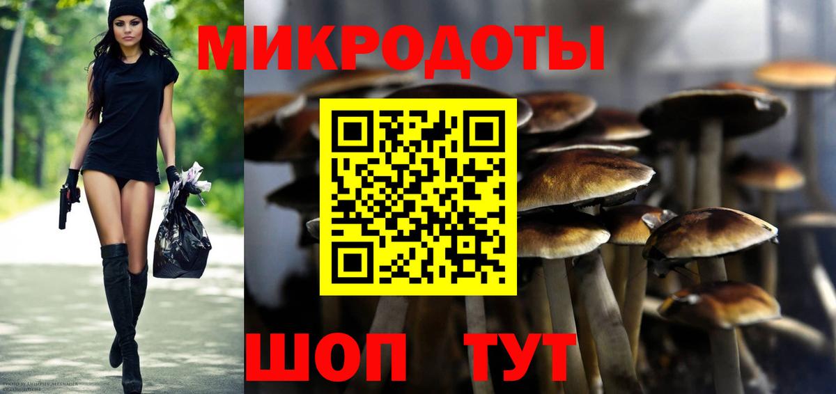 Псилоцибиновые грибы мицелий Кострома