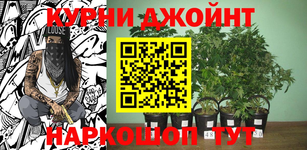 Шишки марихуана AK-47  Вход с VPN  Кострома  Конопля Amnesia  Канабис ГИДРОПОН 